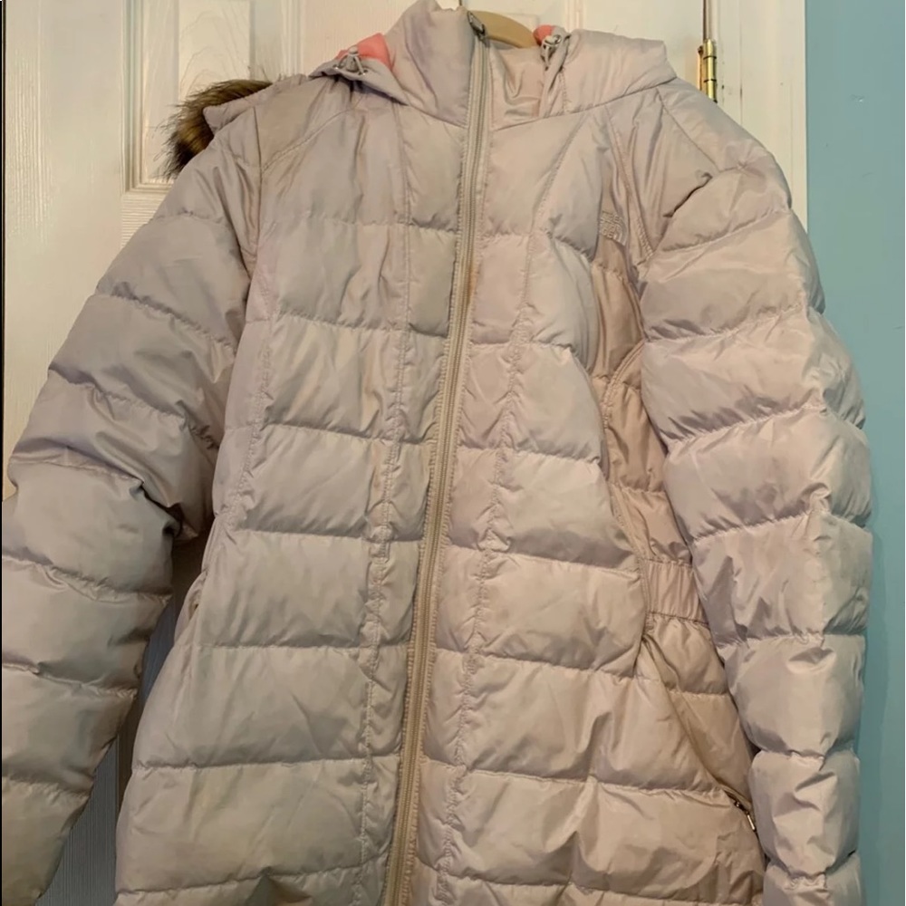 The North Face Winter Coat/Jacket
